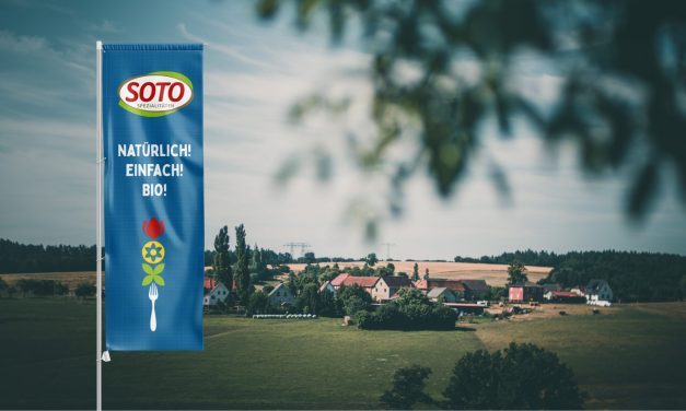 Corporate Design SOTO